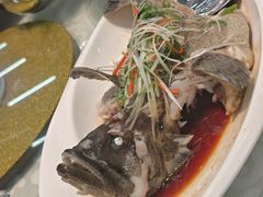 -九號渔港·蒸汽海鲜·粤菜茶点(八卦岭店)