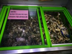 -大富蚝乌东哥饭店·石锅鱼杂·柠檬鸭(革新路店)