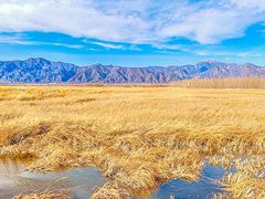 -野鸭湖国家湿地公园