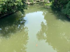 -采石矶-马鞍山太白楼