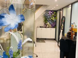 点击看大图 -MLP美丽派·问题肌疗愈中心