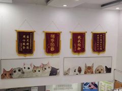 -爱侣宠医·鹦鹉专科·小型哺乳类·异宠专科(灵石路店)