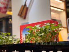 -313羊庄·羊肉火锅烧烤(李村店)
