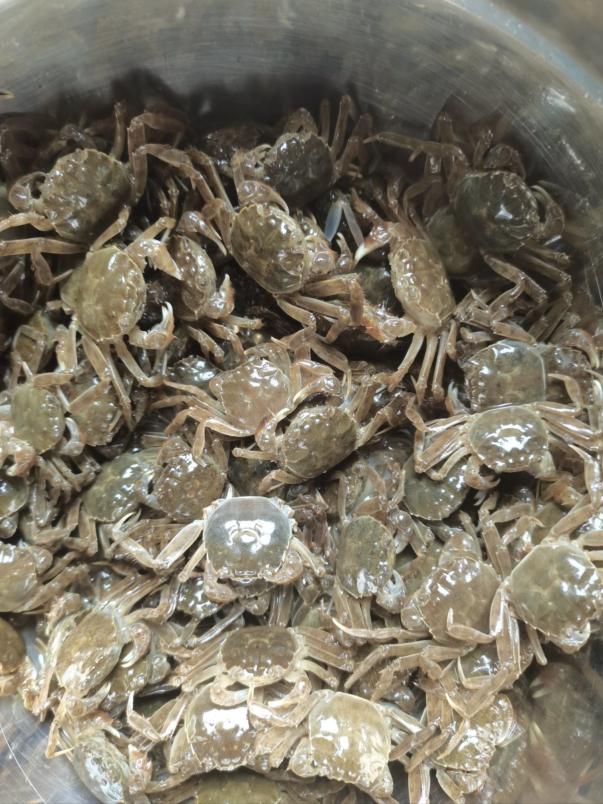 所以,香辣小螃蟹到底怎么做