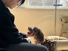 -美联众合动物医院·24h转诊中心