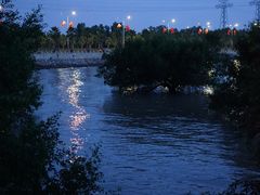 -宝安西湾红树林湿地公园