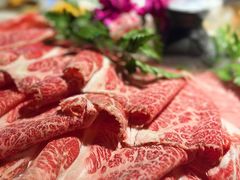 -二荆条·蜀鲜汇城市森林火锅