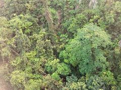 -牛鱼嘴原始生态风景区