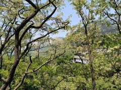 -泰山风景名胜区