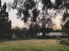 -重庆雨台山风景区