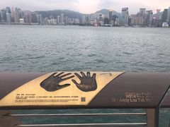 -星光大道