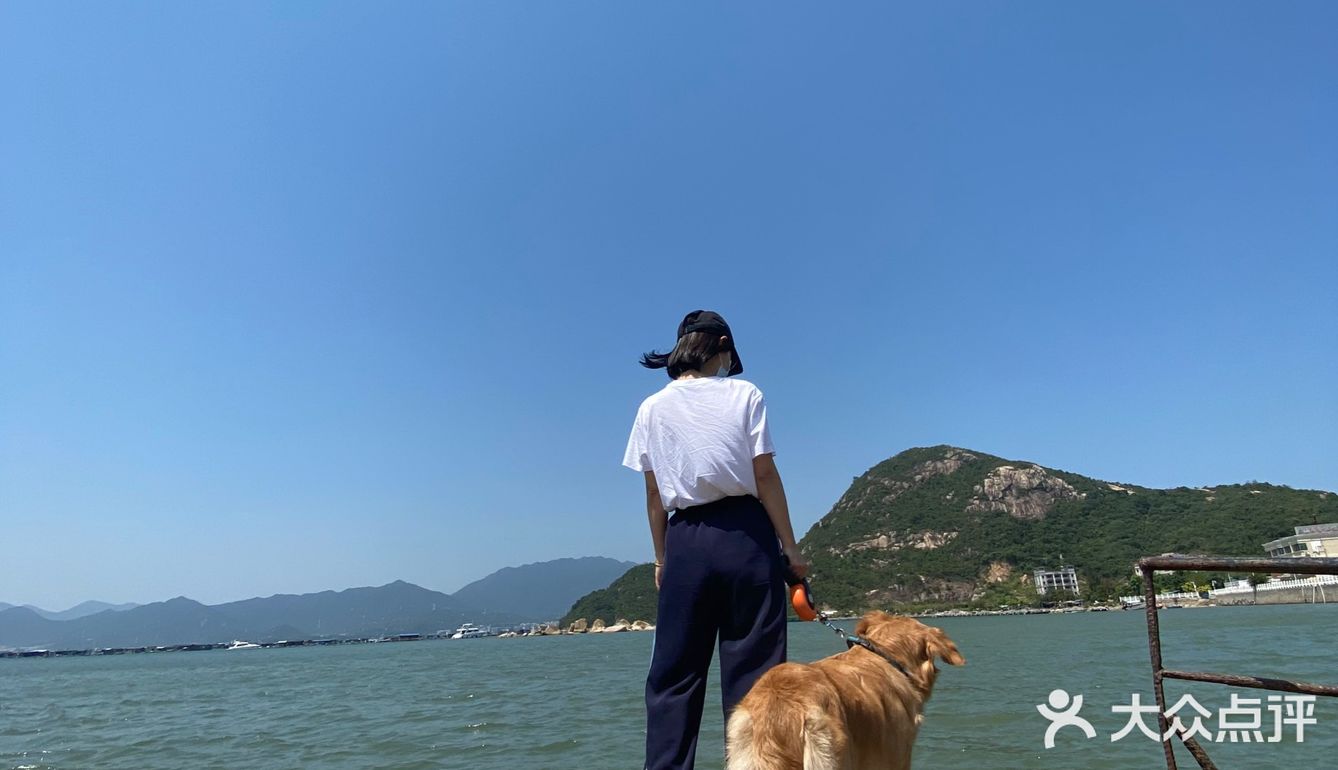 2020最后一天写给汪星人