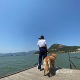 2020最后一天写给汪星人