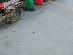 -崖口云吞(中堡店)