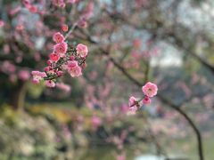 -杭州植物园