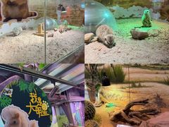 -正佳雨林生态植物园