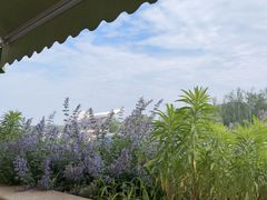 -沿途四季·云南菜·诗酒茶(蓝色港湾店)