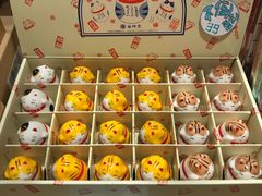 -猫的天空之城概念书店(杭州南宋御街店)