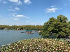-湖畔居茶楼(湖滨店)