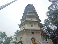 -深圳国际园林花卉博览园