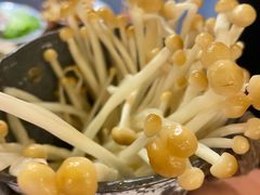 -楠火锅(太古里总店)