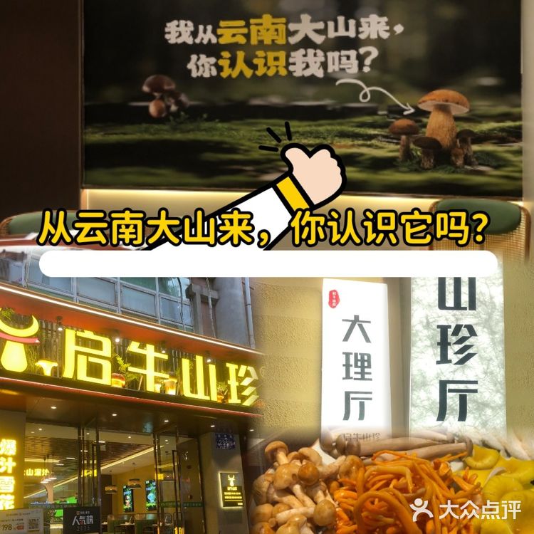 《去有风的地方》同款菌子宴，菌汤喝出颅内高潮