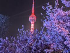 -龟山风景区-龟山电视塔