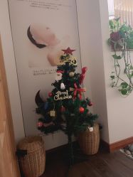 点击看大图 -宥莉·ULLY 痘敏肌•科技皮肤管理中心