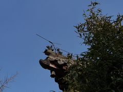 -泰山风景名胜区-虎山公园