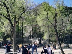 -阳台山自然风景区