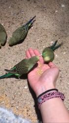 -酷嗒动物文化乐园(cutezoo西溪乐天城店)