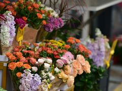 -溪岸路花鸟市场