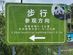 -中国大熊猫保护研究中心雅安碧峰峡基地