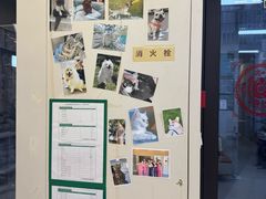 -爱妮康宠物医院·干细胞免疫细胞·肿瘤·心脏(张江店)