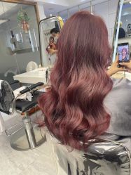 -镁连社·美联社