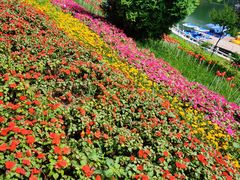 -秦岭终南山世界地质公园翠华山景区
