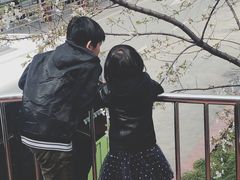 -上海南浦大桥长途旅游客运站