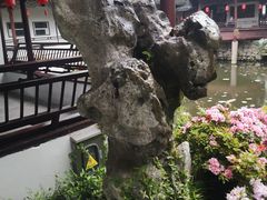 -上海醉白池公园