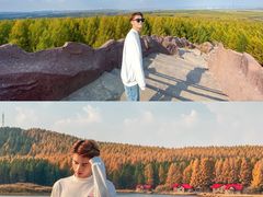 -塞罕坝国家级自然保护区