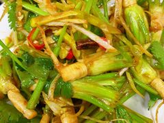 -老黑板筋(顺义总店)