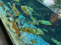 -合肥海洋世界