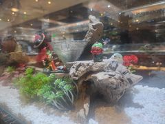 -红辣椒·川菜·火锅(大洋中心店)