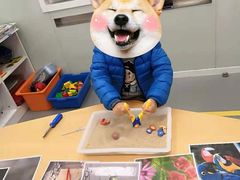 -斯坦星球AI编程·机器人科创·科学实验·信奥·思维·STEM·乐高·竞赛考级(长宁虹桥大融城荟聚中心)