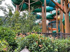 -杭州开元森泊度假乐园