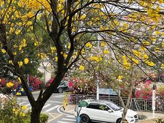 -小南山公园
