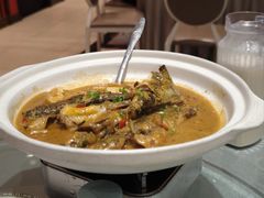 -辛香味烧鱼馆·非遗技艺·排骨红烧肉(光谷医药园店)