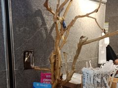 -雾鲜(KKMALL店)