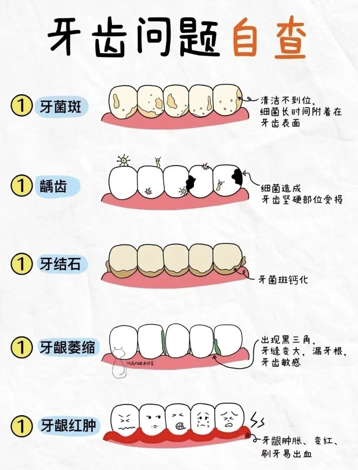 牙齿小而稀疏图片