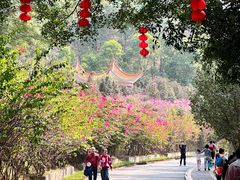 -白云山风景名胜区