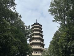 -灵谷景区